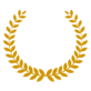 Image module
